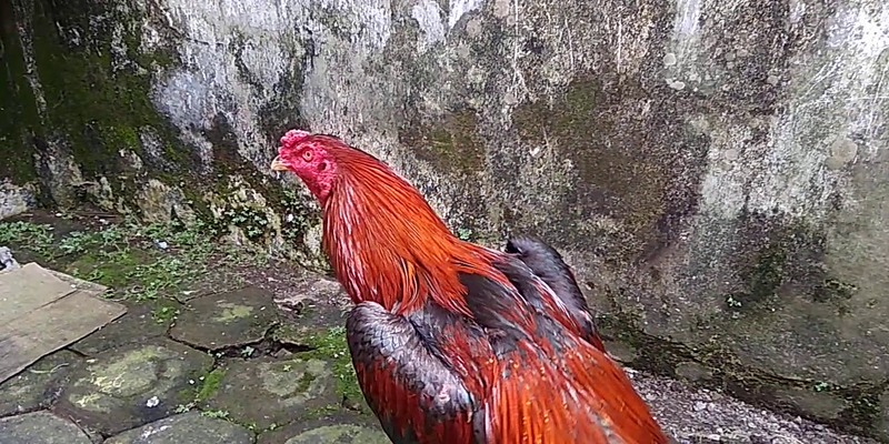 Nhiều điều cần hướng dẫn