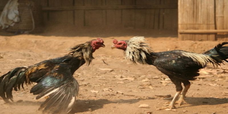Bảo vệ nick nhanh nhẹn