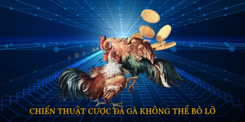 Chiến thuật cược đá gà không thể bỏ lỡ