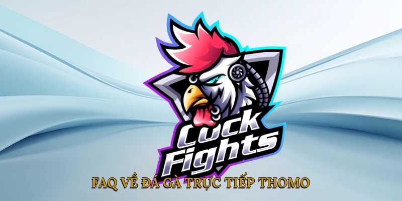 FAQ về đá gà trực tiếp thomo