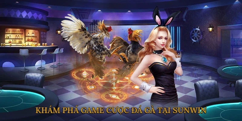 Khám phá game cược đá gà tại SUNWIN
