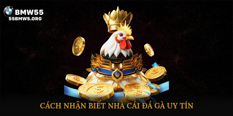Cách nhận biết nhà cái đá gà uy tín