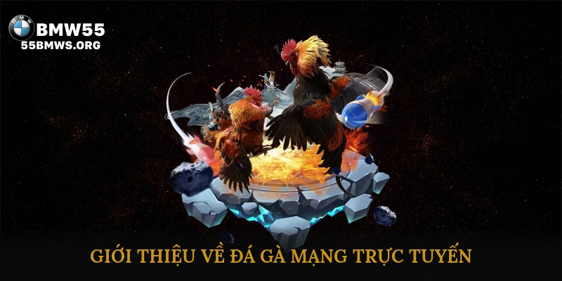 Giới thiệu về đá gà mạng trực tuyến