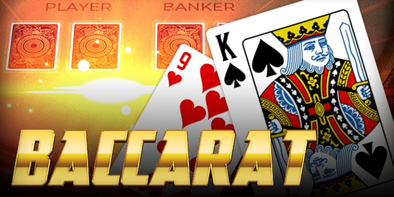 lich-su-va-nguon-goc-cac-loai-bai-la-tam-quan-trong