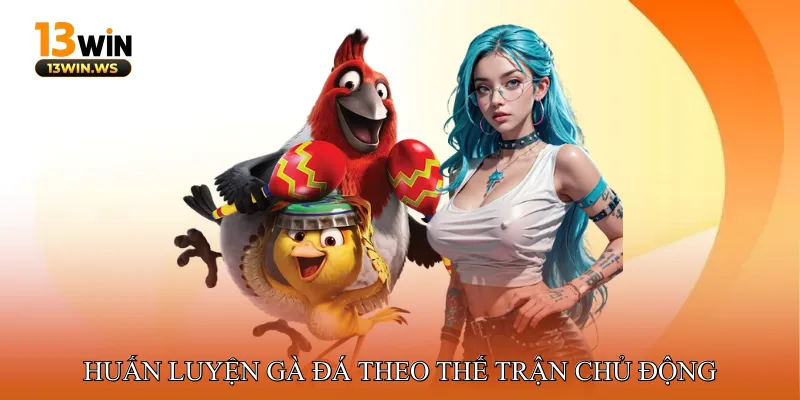 Huấn luyện gà đá theo thế trận chủ động