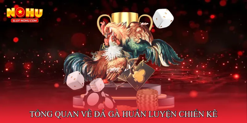 Tổng Quan Về Đá Gà Huấn Luyện Kê Chiến