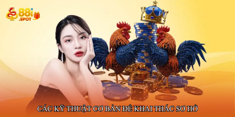 Các kỹ thuật cơ bản để khai thác sơ hở