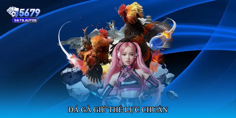 Đá gà giữ thể lực chuẩn