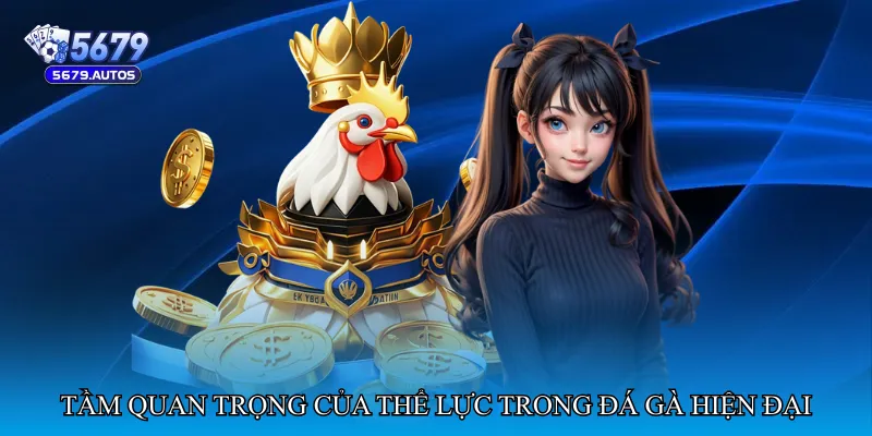 Tầm quan trọng của thể lực trong đá gà hiện đại